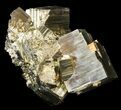 Cubic Pyrite Crystal Cluster - Peru #44576-1